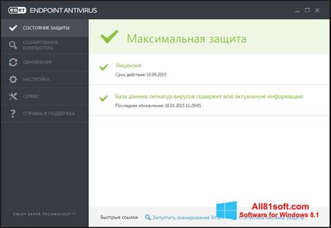 Ekran görüntüsü ESET Endpoint Antivirus Windows 8.1
