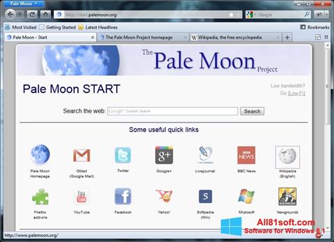 Ekran görüntüsü Pale Moon Windows 8.1