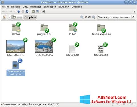 Ekran görüntüsü Dropbox Windows 8.1