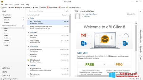 Ekran görüntüsü eM Client Windows 8.1