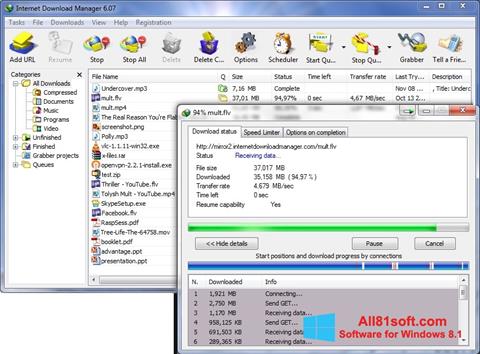 Ekran görüntüsü Internet Download Manager Windows 8.1