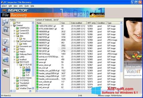 Ekran görüntüsü PC Inspector File Recovery Windows 8.1