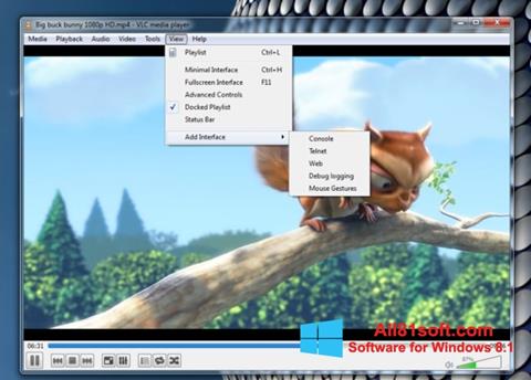 Ekran görüntüsü VLC Media Player Windows 8.1