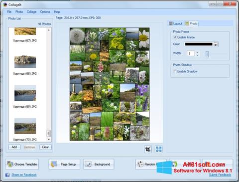 Ekran görüntüsü CollageIt Windows 8.1