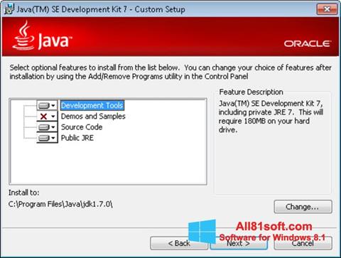 Ekran görüntüsü Java Development Kit Windows 8.1